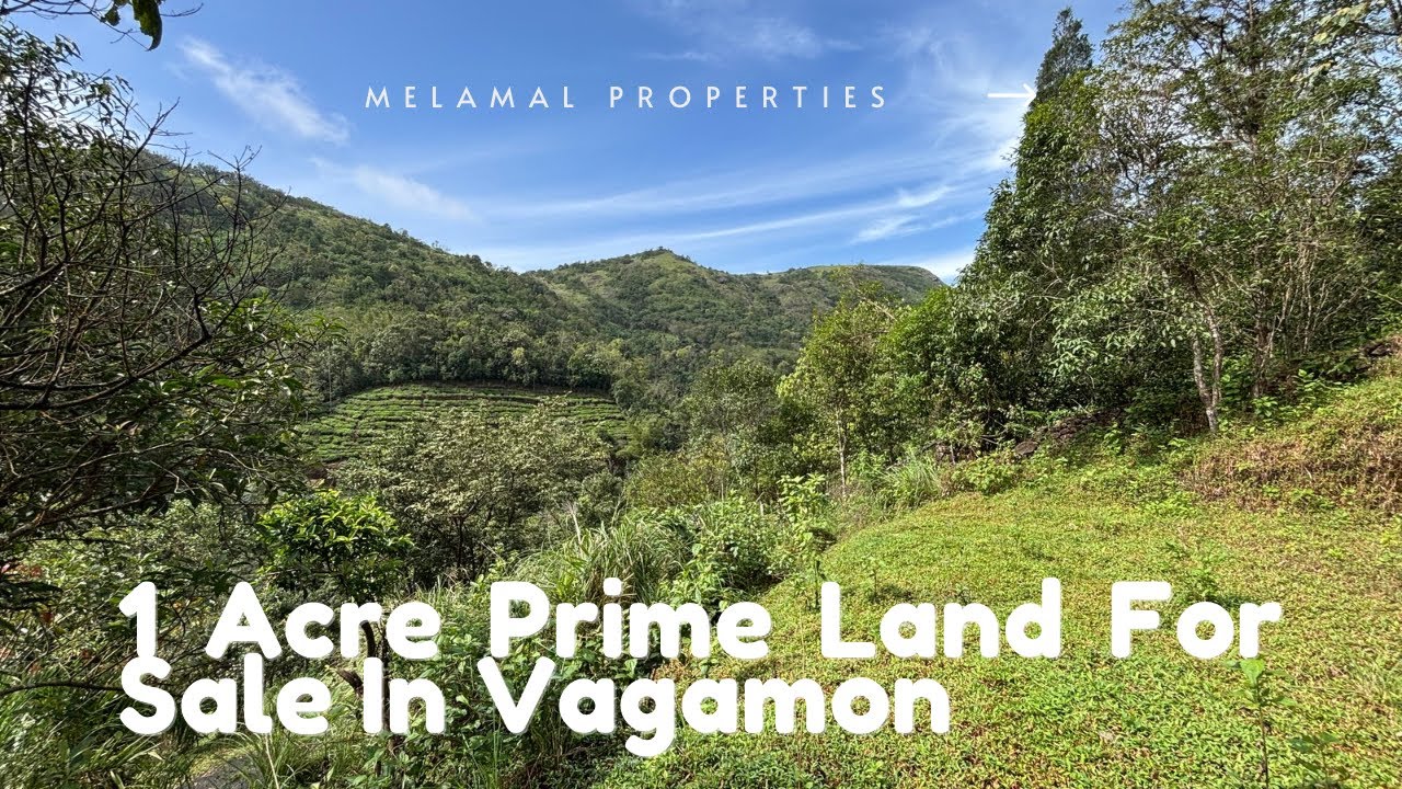 Beautiful 1 Acre Prime Land For Sale In Vagamon
