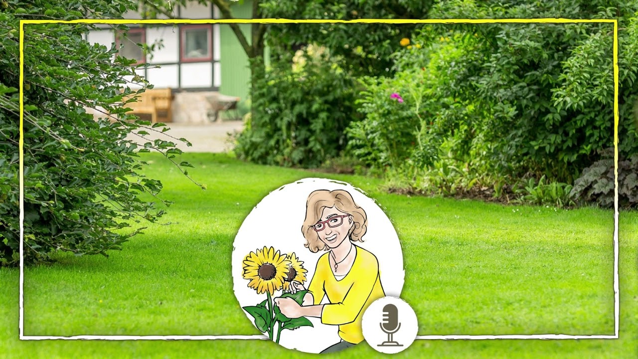 Diese Tipps helfen bei der Rasenpflege: Dichtes Gr&uuml;n ohne viel Aufwand