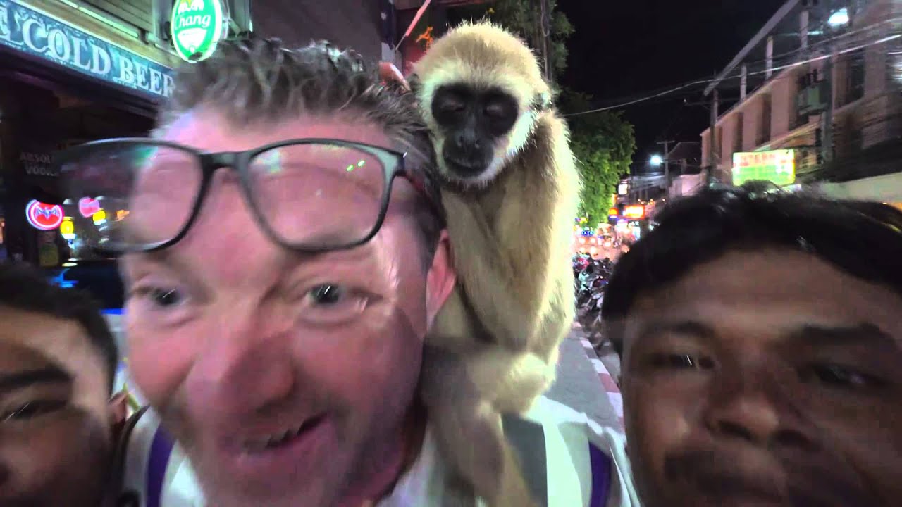 WFFT goes undercover to identify Gibbon touts