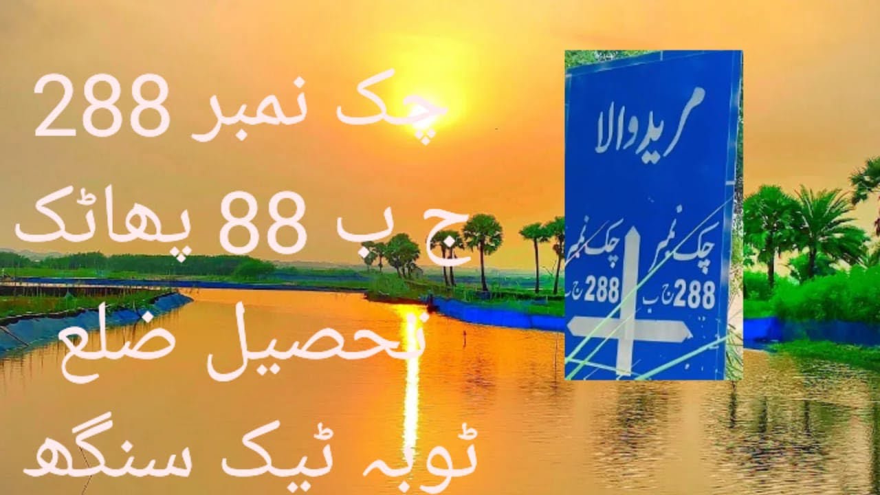 #dailyvlog #villagelife #pakistaniliterature #tobatakesingh  #288 jb toba tek singh