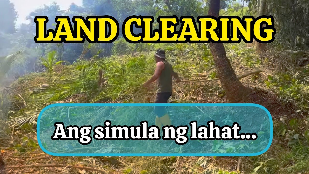 Clearing the Land We Bought in the Philippines 