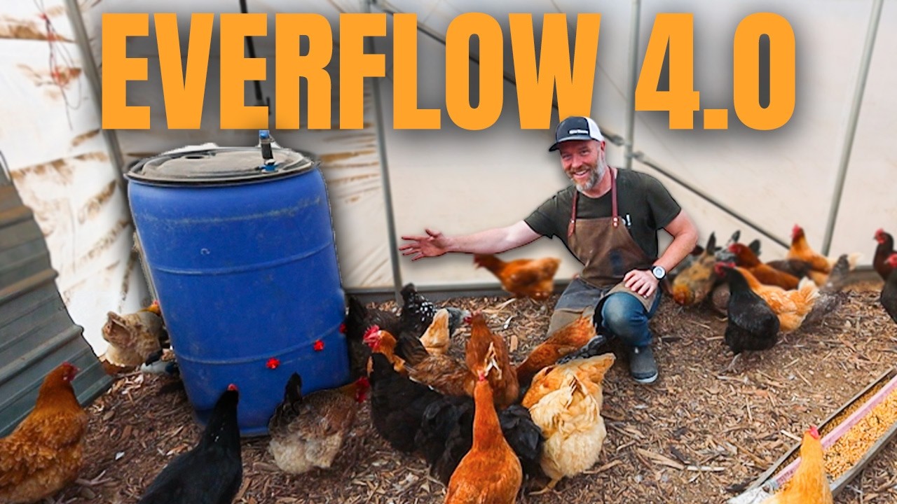 No More Chicken Chores: Never Freezes + Always Clean (Everflow 3.0) 
