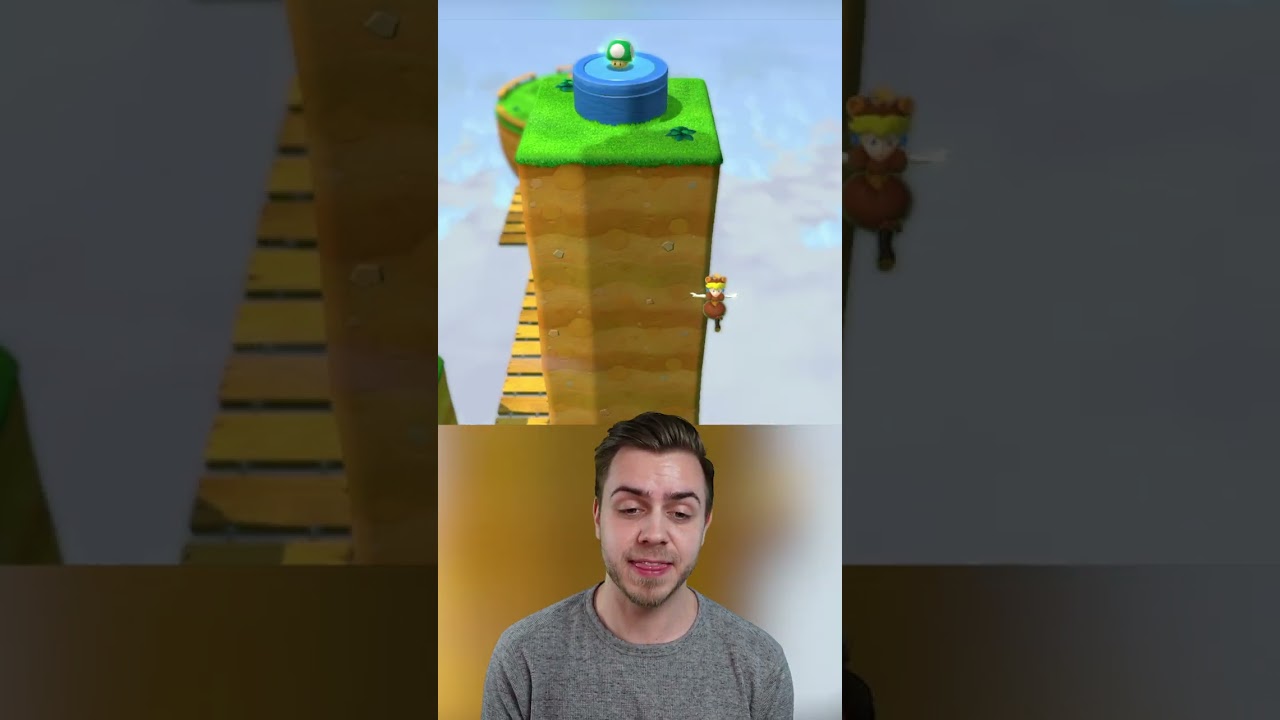 Mario 3D World is Broken