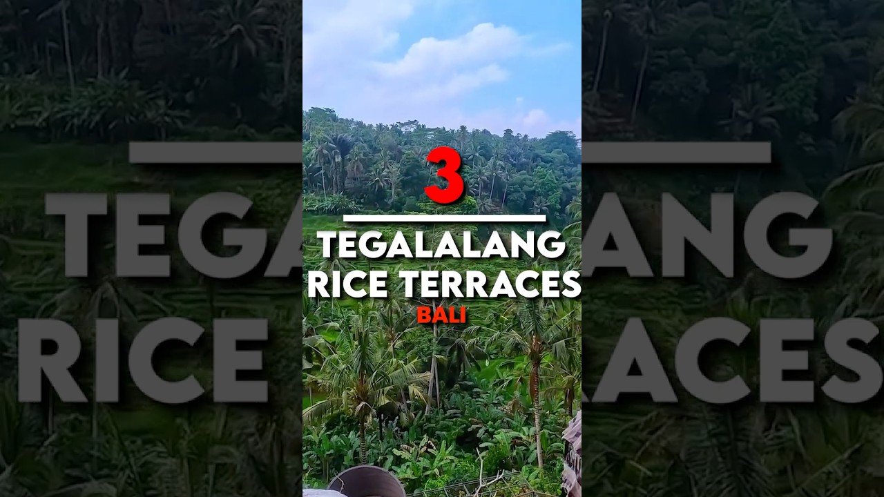 Tegalalang Rice Terraces | Wonders of Bali, Indonesia | Breathtaking Scenic Views 🇮🇩🌾