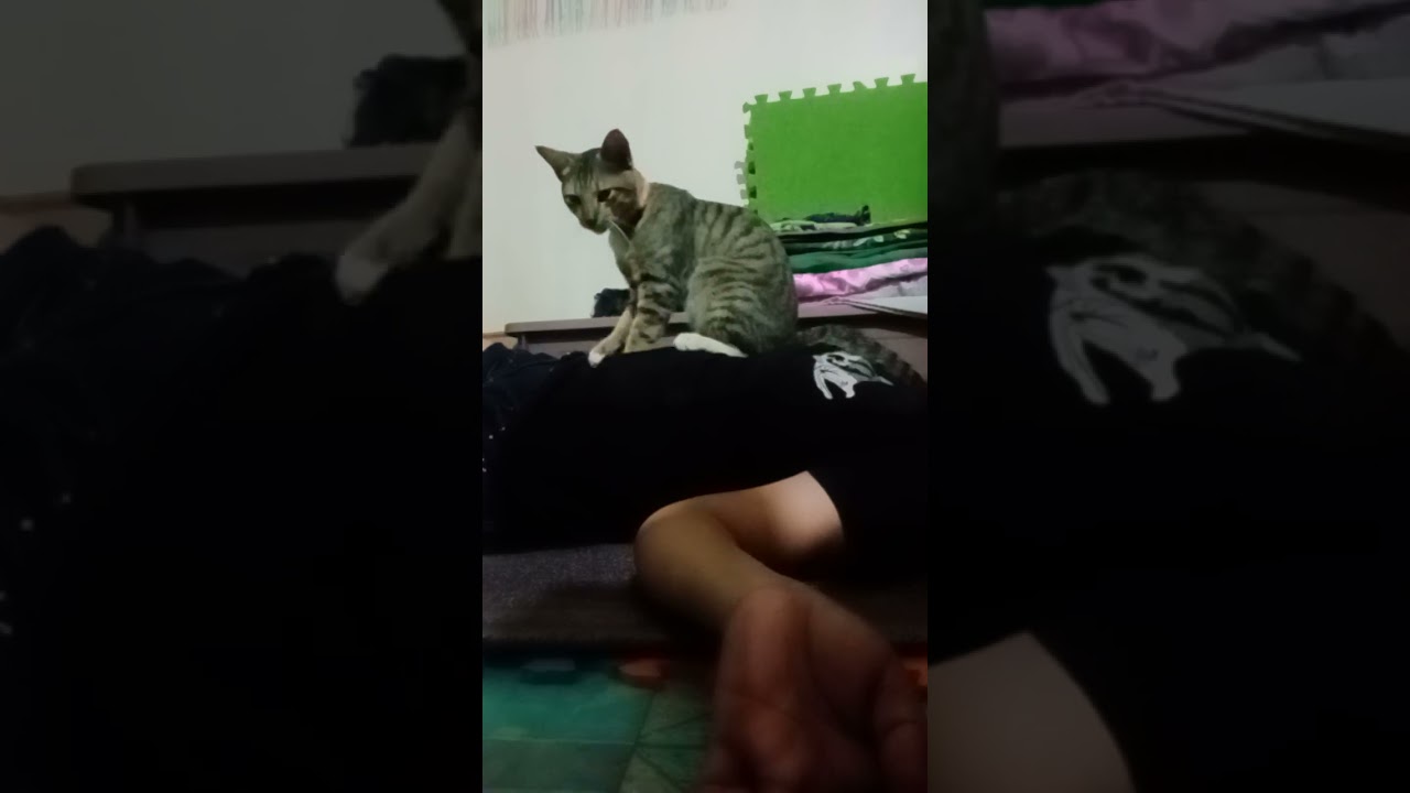 Masahi ni Junior 🥰😍