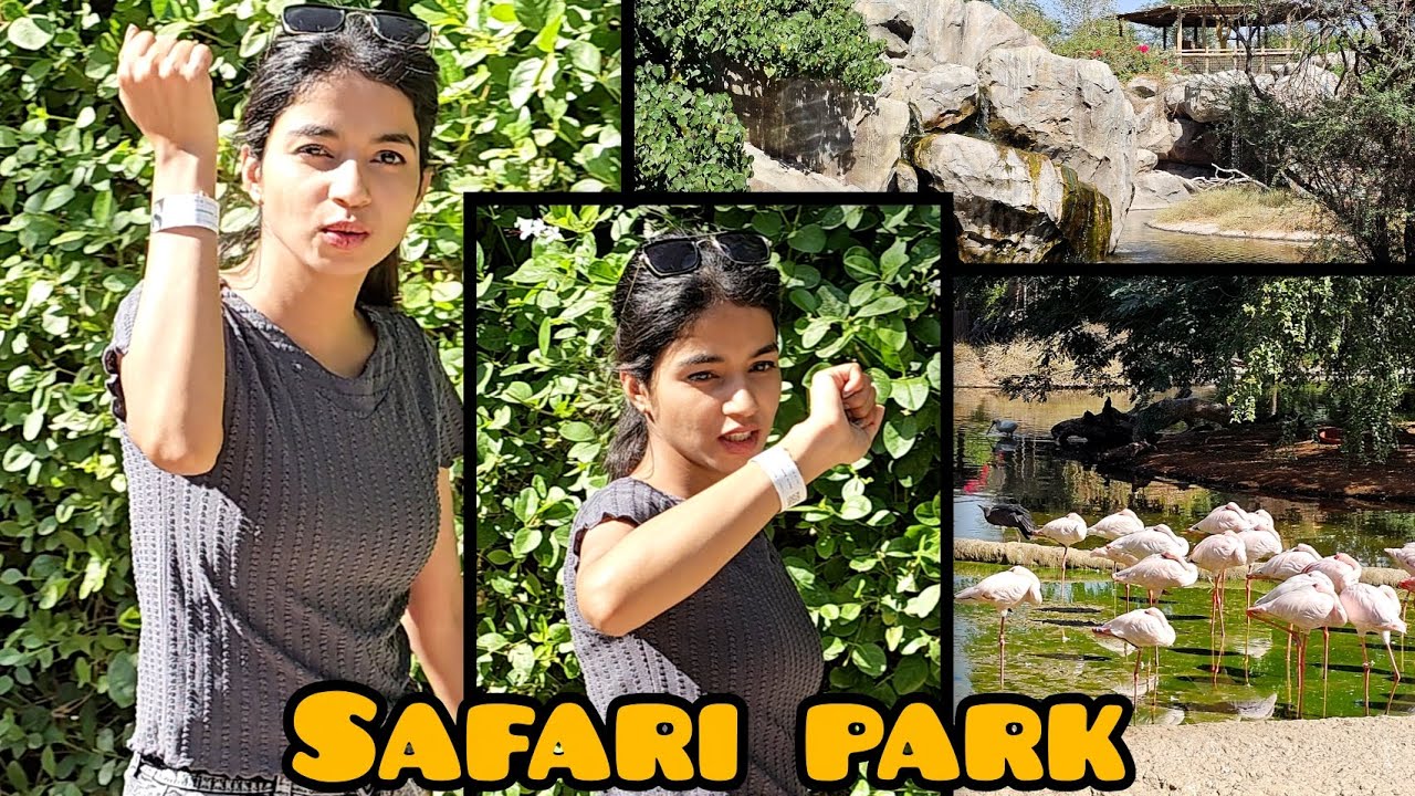 Sharjah Safari park |  #trending #viral #sharjah #safari