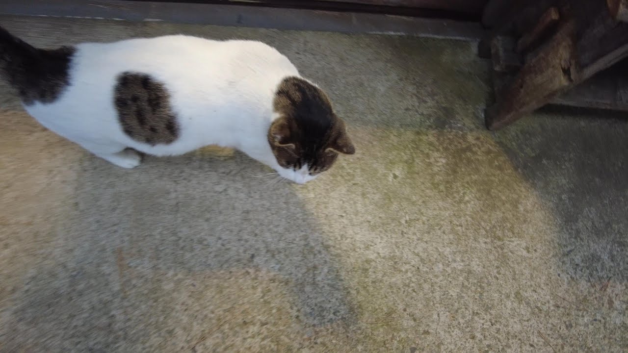 東鳴子温泉のいさぜん旅館で一泊　