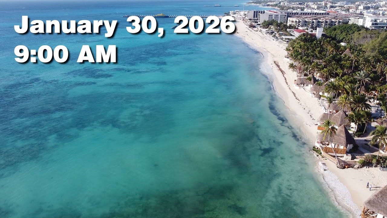 Daily Sargassum Sargasso Seaweed Report at Playa del Carmen, Mexico - January 30, 2026 #sargassum