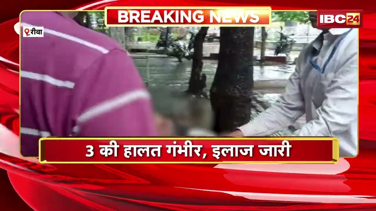 Rewa News: रीवा में दर्दनाक हादसा! कुत्ते को बचाने में कार पलटी, 6 लोग घायल | Madhya Pradesh