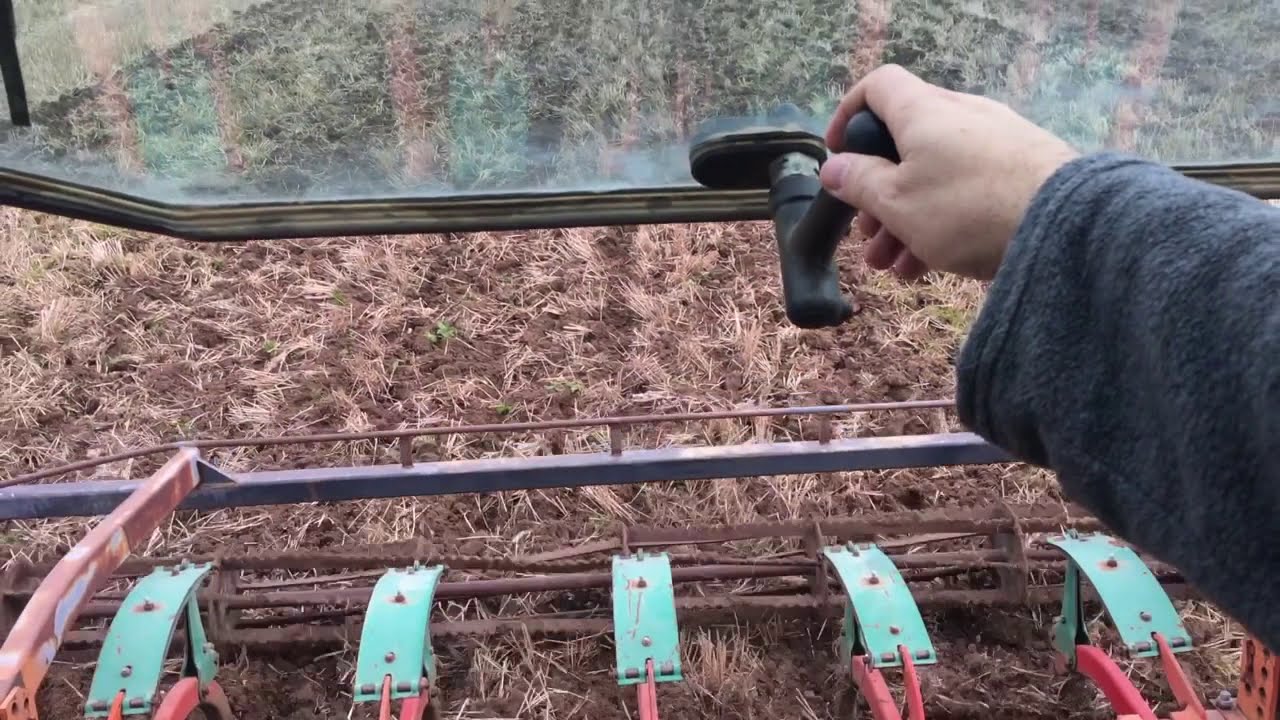Preparación con Chisel. Chisel works.