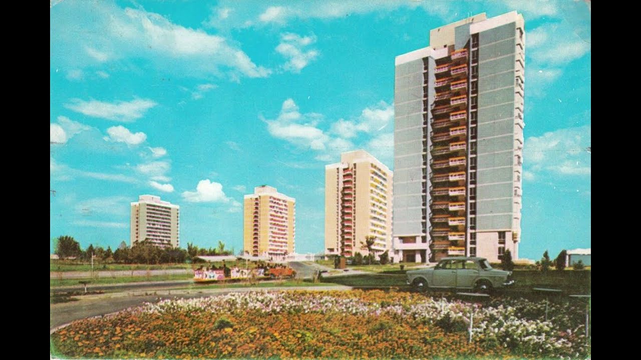 m a n e l e w a v e | neo-manele