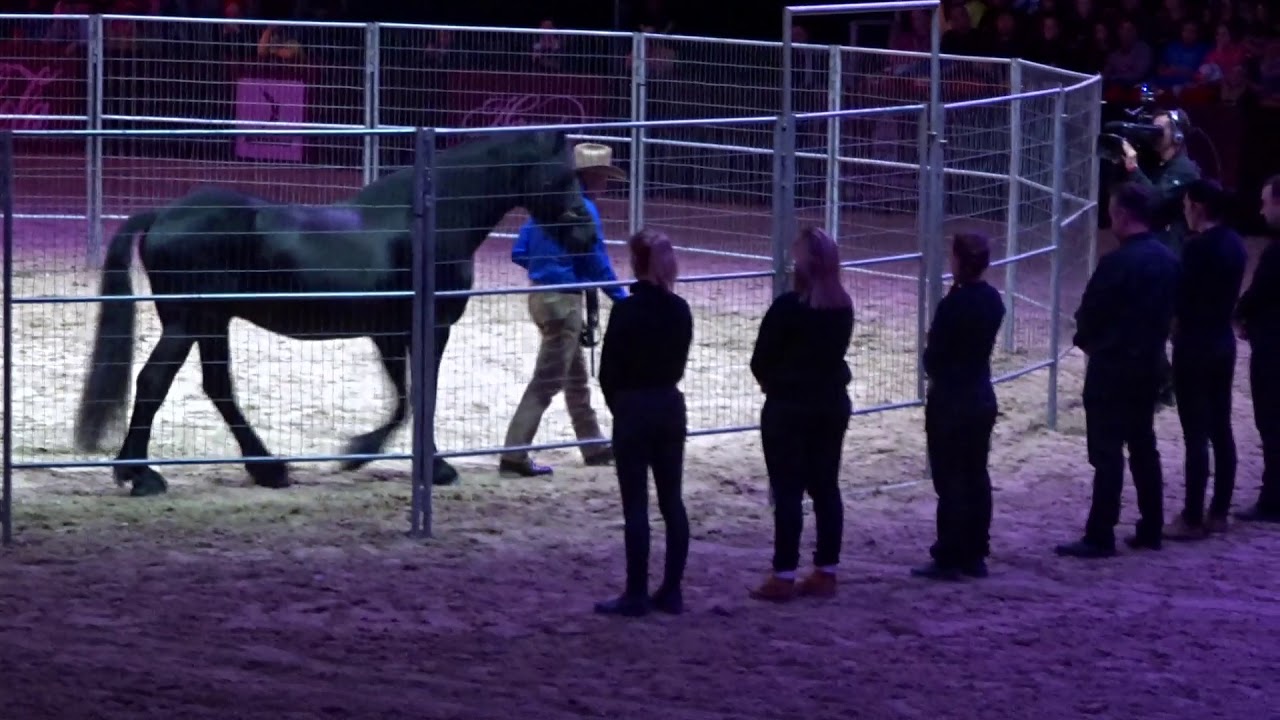 Monty Roberts - Suttogók - 2018/Budapest