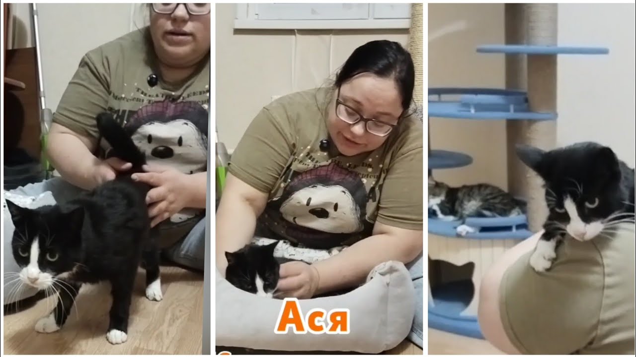 Ася