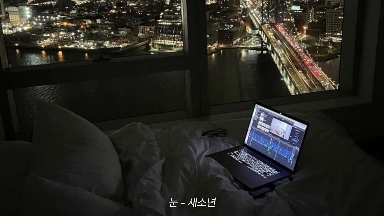 내가 들으려고 만든 겨울플리