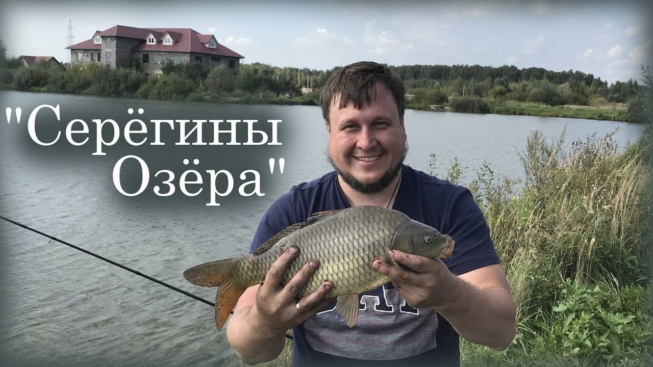 Карп на Серегиных Озерах.  Платник на котором клюет! Отличное место для рыбалки!