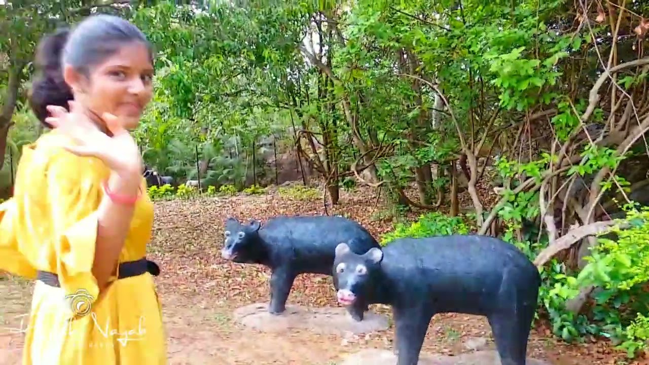 sanaghagara picnic spot, keonjhar
