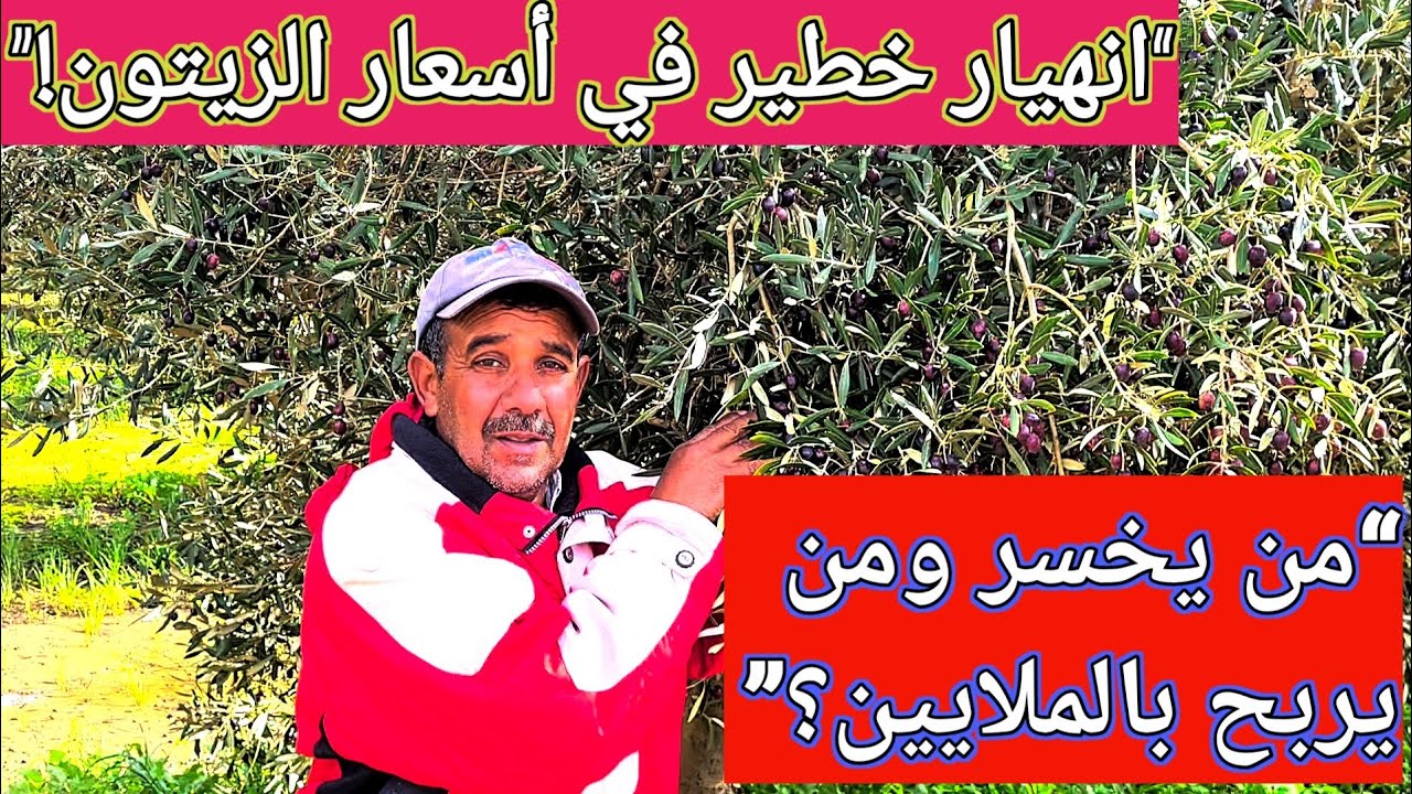 🚨 فضيحة في سوق الزيتون! أرباح بالملايين واللعبة فالكواليس!