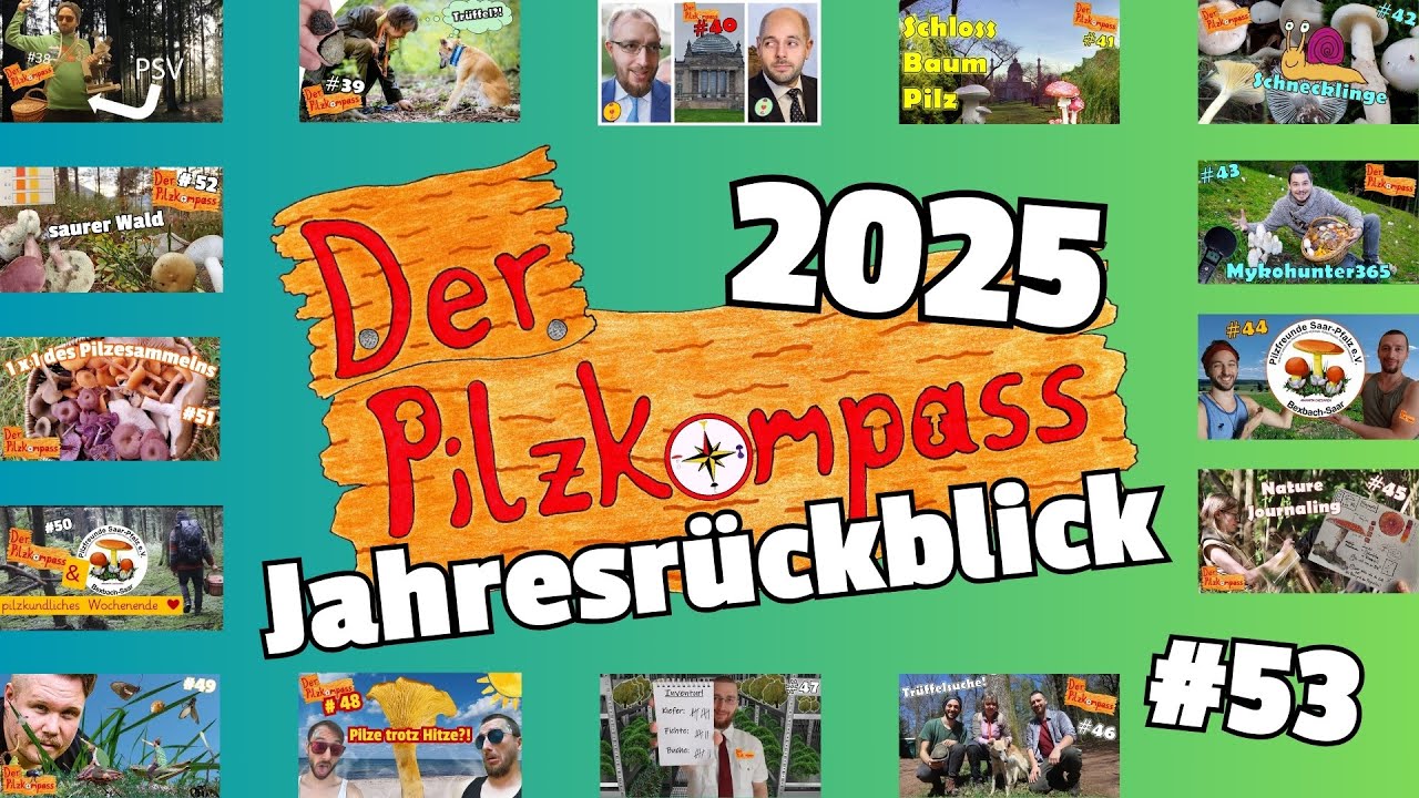 #53 Jahresrückblick 2025 - Pilze, Schweine & viele coole Leute! (#mushroom #nature #podcast #wald)