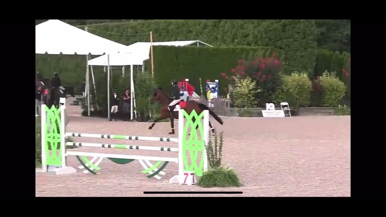 Bollerup Pacific Blue. Ultimate JR/AM Jumper
