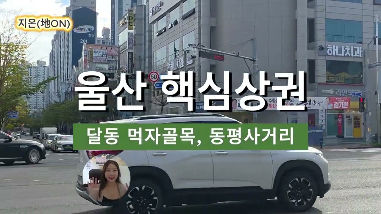 울산 달동 상권 분석｜신정로&middot;동평공원 