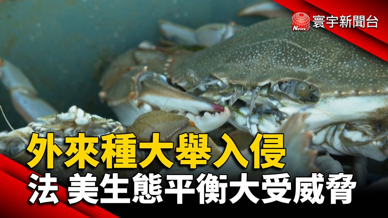 外來種大舉入侵&nbsp; 法國 美國生態平衡大受威脅@globalnewstw