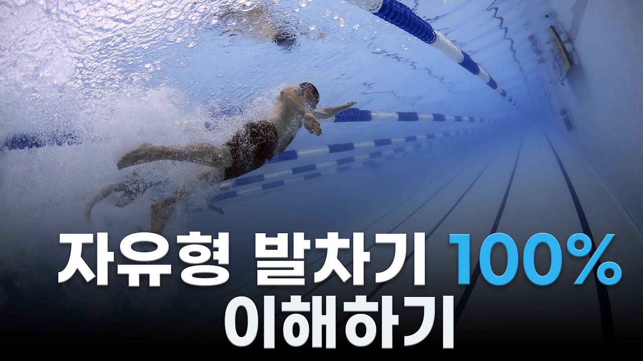 자유형 발차기 전 국가대표 감독님이 알려준 꿀팁