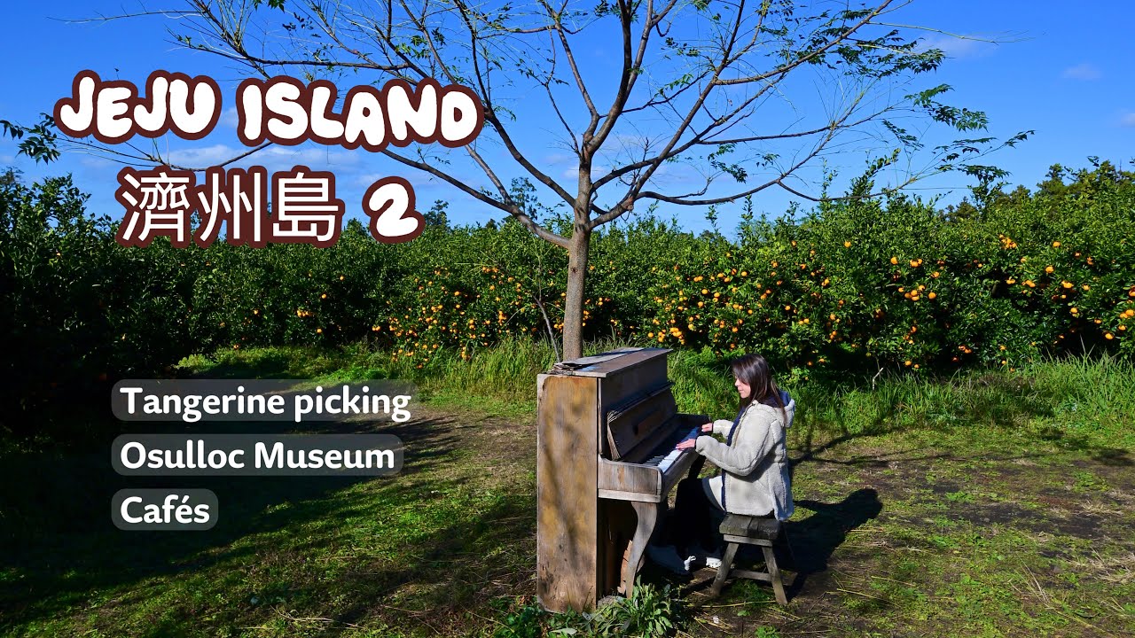 JEJU ep.2: Join me! - Tangerine picking, Osulloc Museum, Gorgeous Villa, Abebe and Camel cafes 🍊🇰🇷