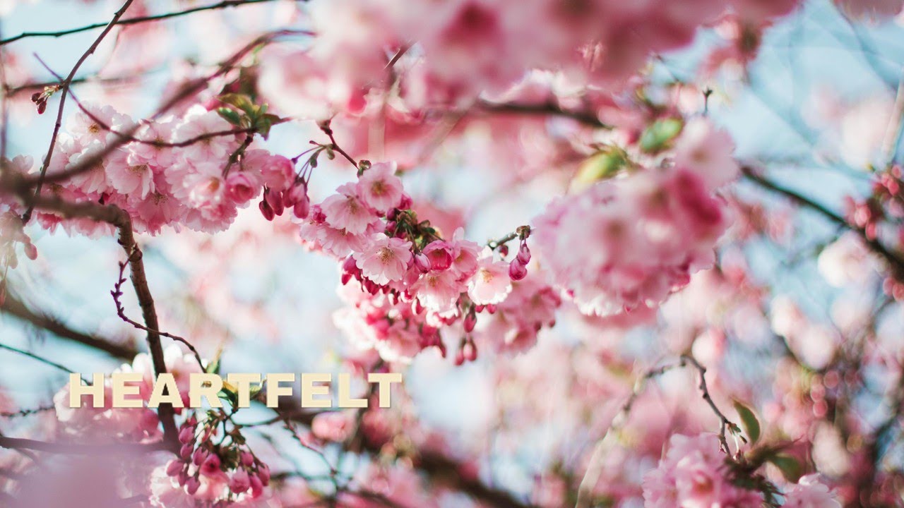 Timeless Wedding Memorial Song – Heartfelt Tribute (2026)