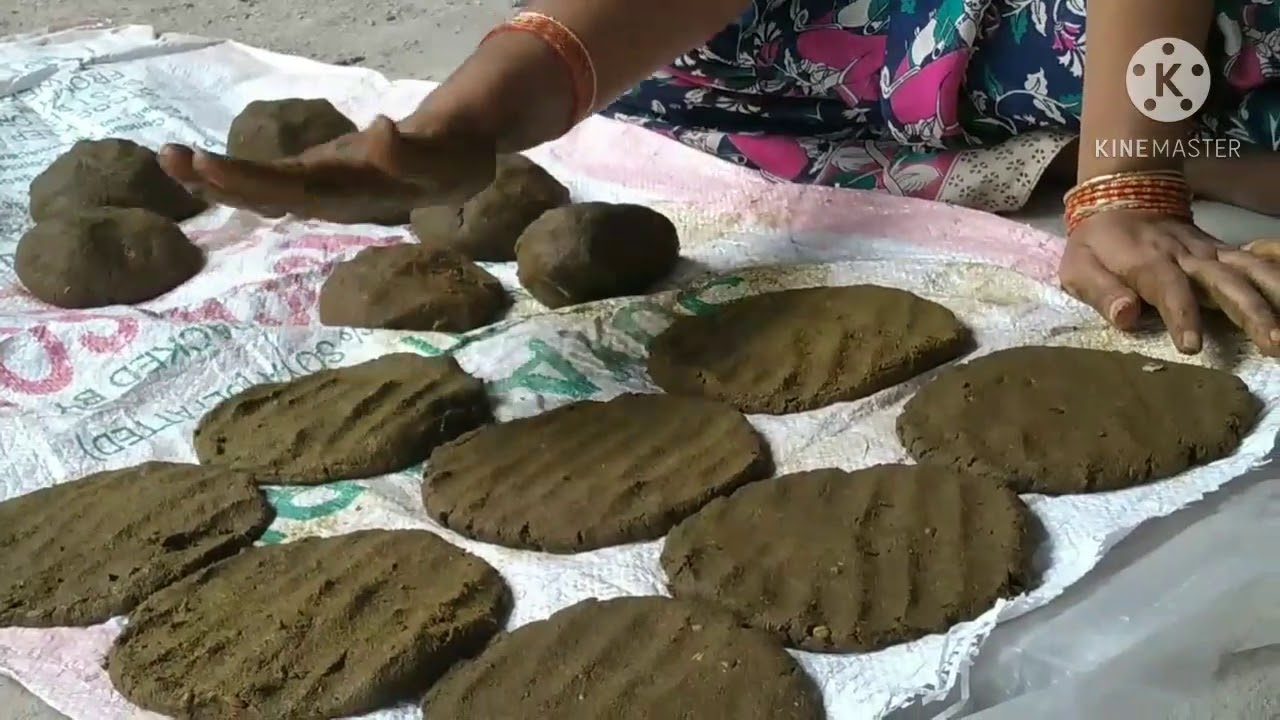 cow dung patties||స్వచ్చమైన ఆవు పేడ పిడకల తయారి||home made cow dung patties||cow dung cakes 🐂🐄🙏