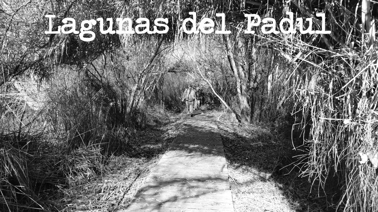 Las Lagunas del Padul
