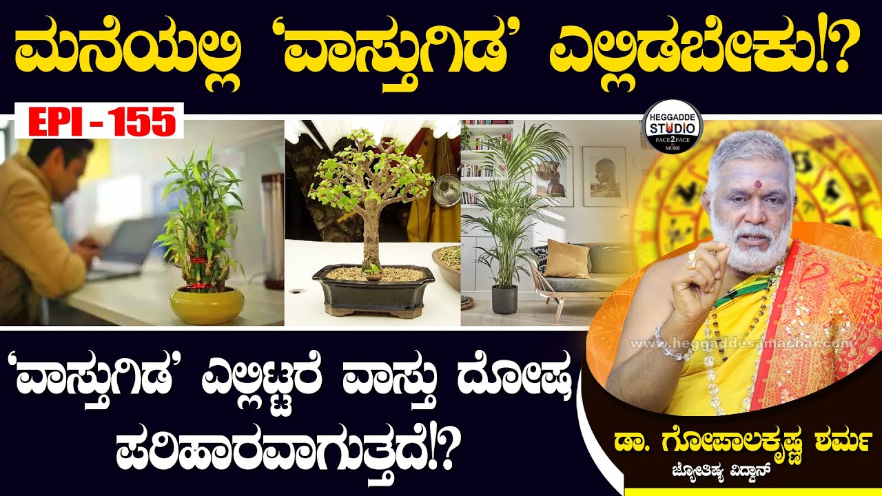 ಮನೆಯಲ್ಲಿ 'ವಾಸ್ತುಗಿಡ' ಯಾವ ಭಾಗದಲ್ಲಿಡಬೇಕು? ಎಲ್ಲಿಟ್ಟರೆ ಕಷ್ಟ ನಷ್ಟ ದೂರವಾಗುತ್ತದೆ?|GopalaKrishna Sharma E155