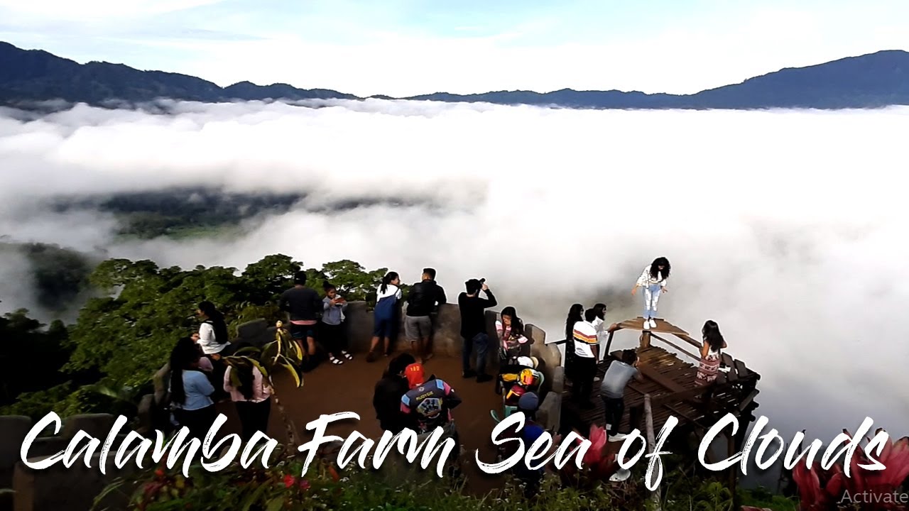 CALAMBA FARM SEA OF CLOUDS | MARAGUSAN, DAVAO DE ORO