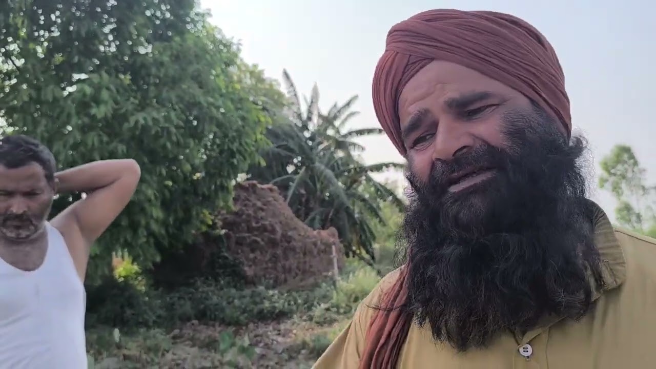 Kasganj F921A Bulandshahar Agriculture land 170 Bigha For Sale #youtubeshorts #trending #shorts