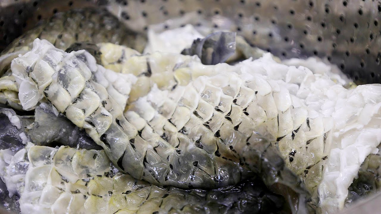 做涼拌魚皮時，掌握這些小技巧，魚皮不破不腥，冰涼脆爽口感好【我是馬小壞】