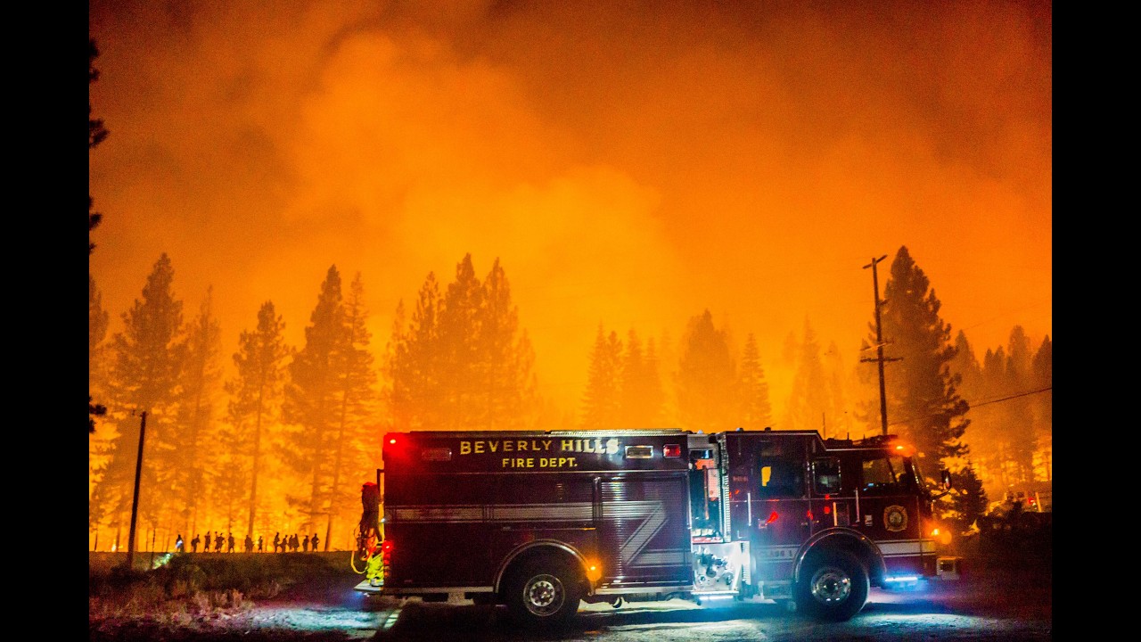 Beverly Hills Firefighters' Palisades Reflection