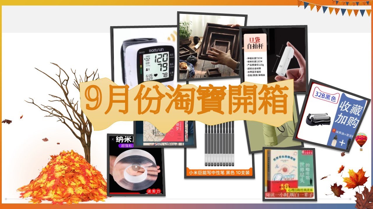淘寶好物分享 (2025年9月)