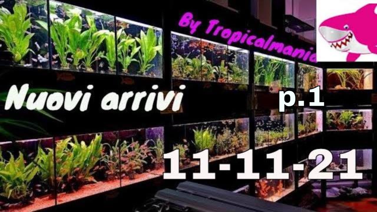 NUOVI ARRIVI e TOUR 😀😀 Tropicalmania PARTE 1