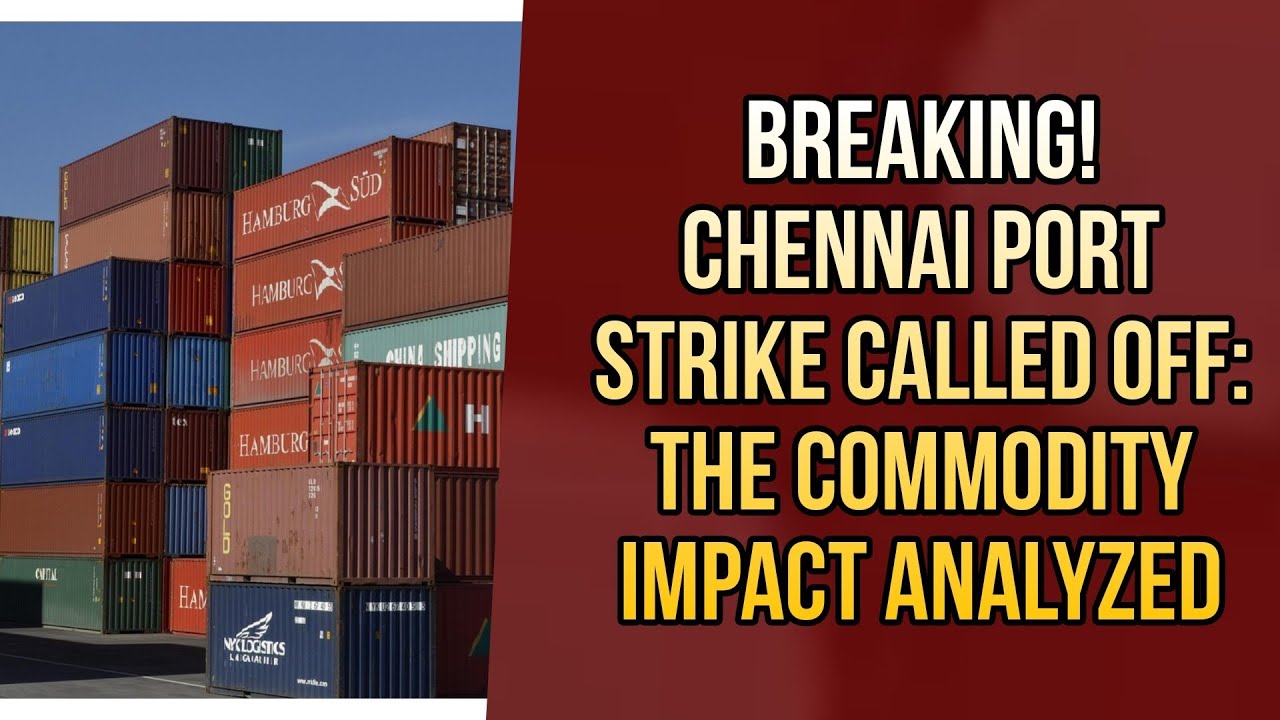 BREAKING! Chennai Port Strike CALLED OFF: The Commodity Impact Analyzed