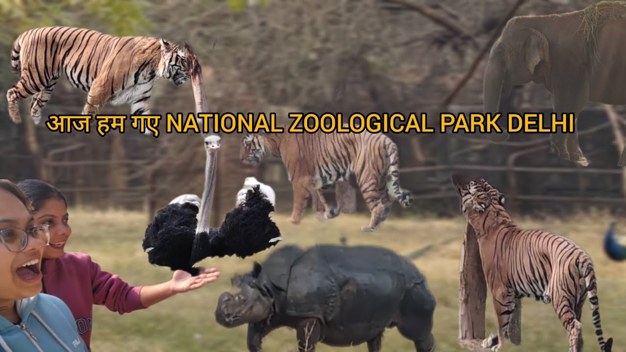 आज हम गए National Zoological Park Delhi 📍