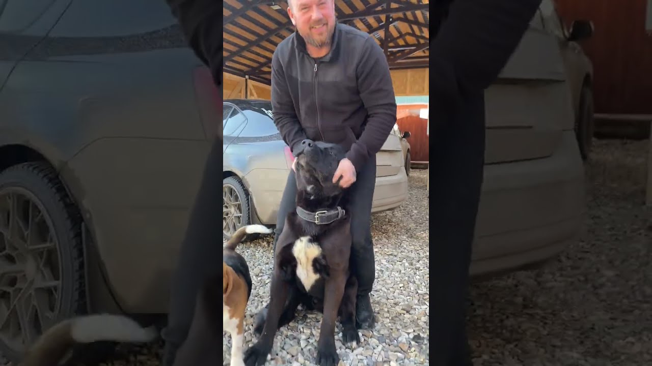 Весна пришла, зацвели подснежники 🥰