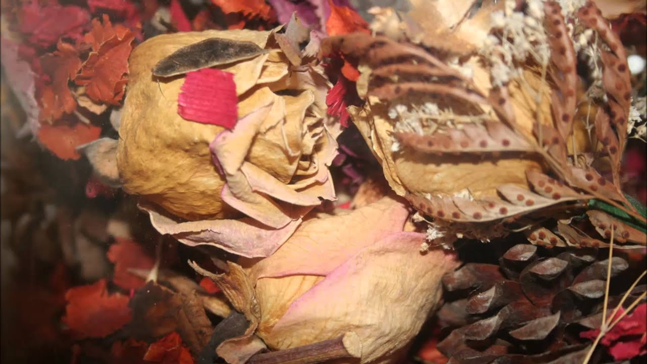 (3D binaural sound) Asmr dried flowers & relaxation time with rustling sounds
