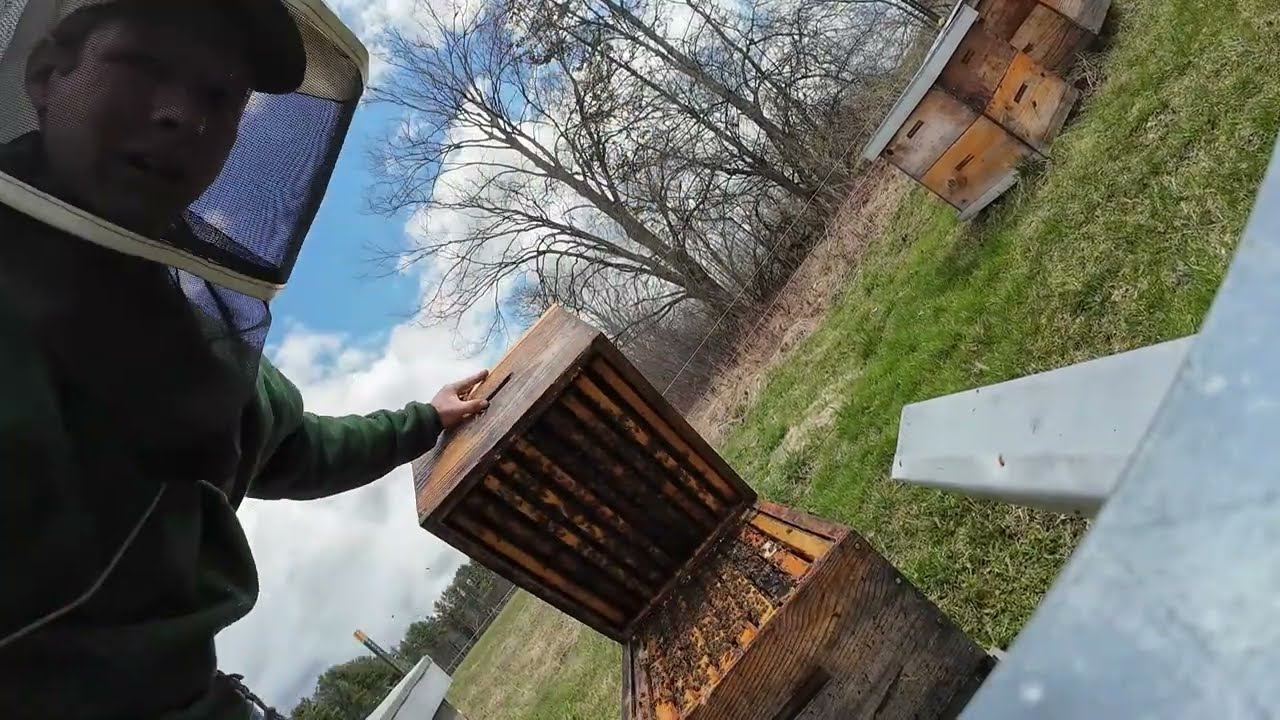 First inspections after unpacking