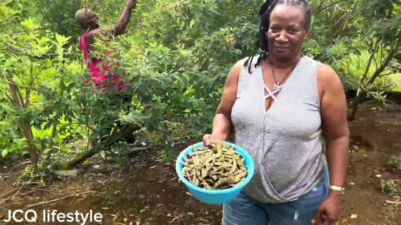 What Life Is Like In St. Vincent & Grenadines