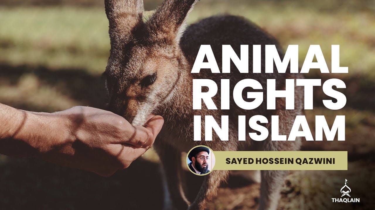 DAY 67: How Animals Rights Are Protected In Islam? | Sayed Hossein Qazwini
