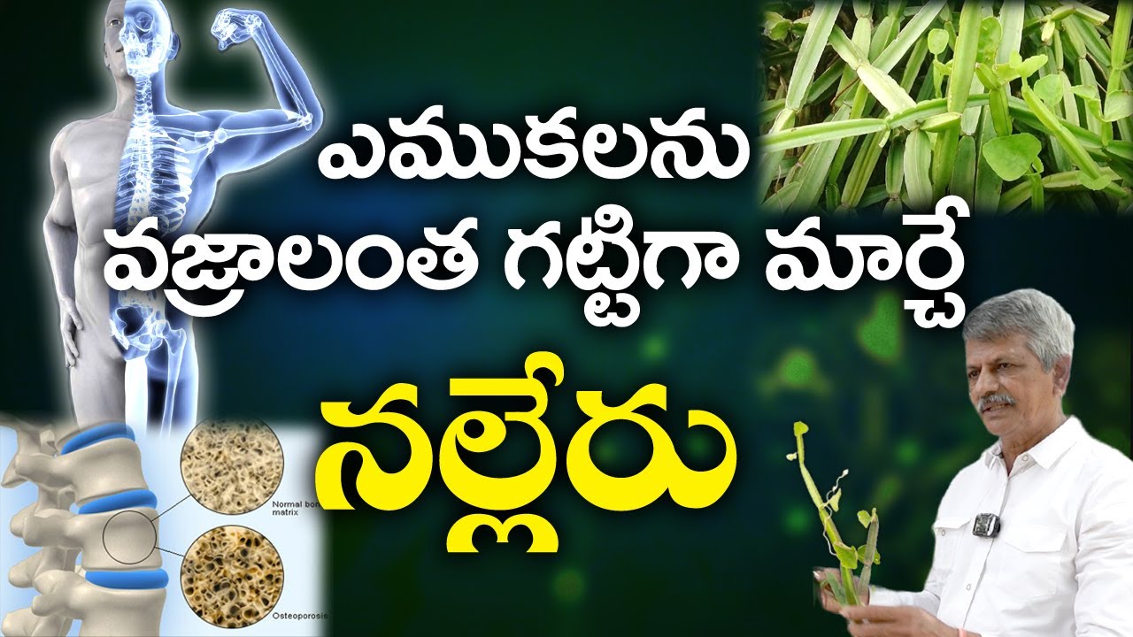 Ayurvedic Health tips | ఎముకలను వజ్రాలంత గట్టిగా మార్చే నల్లేరు | #anjaneyaraju #sreesannidhitv