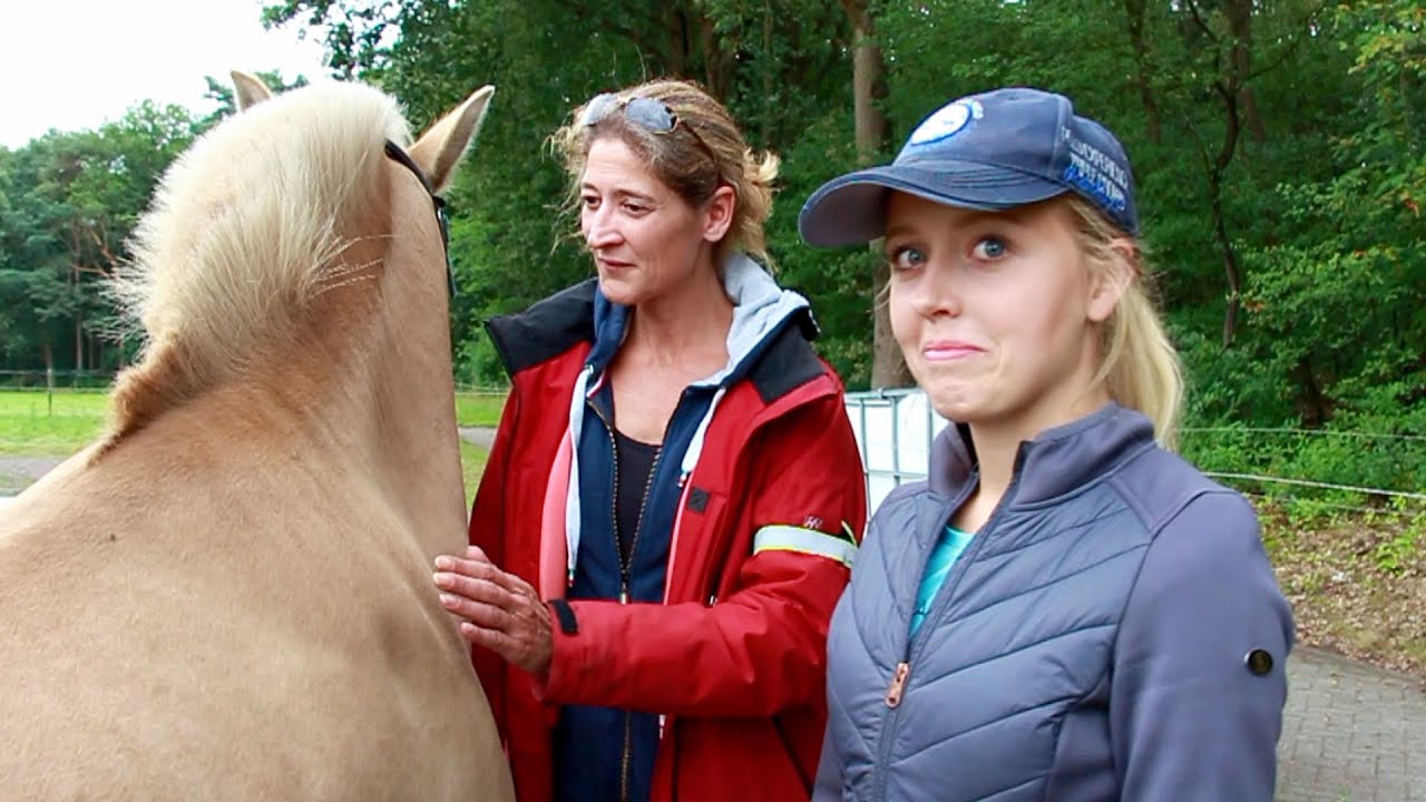 Moos vertelt paardenfluisteraar dat hij ... niet leuk vindt!
