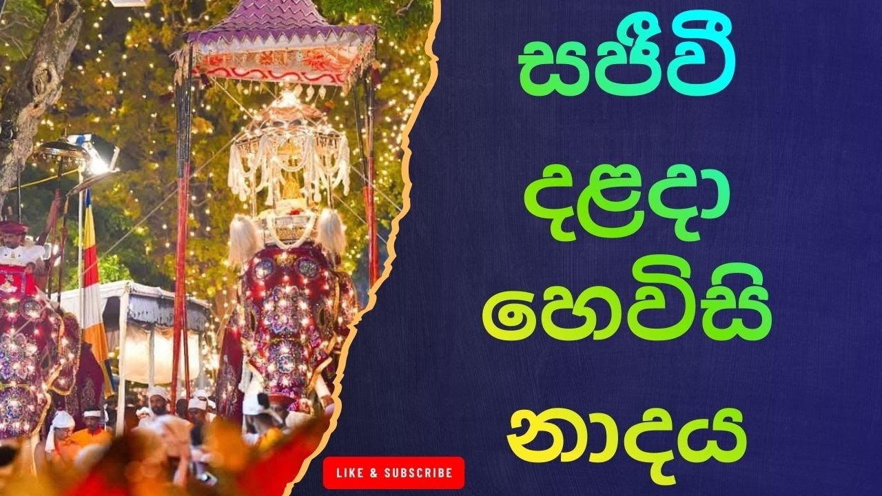 හෙවිසි නාදය: සිත් සන්සුන් කරන පූජනීය නාදය Kandy Hewisi Performance – Dalada Maligawa Highlight