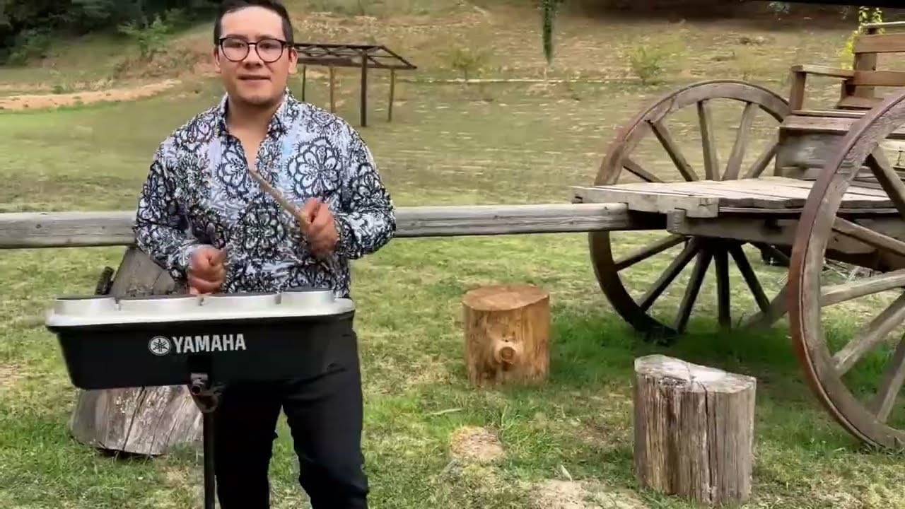 CHILENA LA BAILADITA - VIDEO OFICIAL -  LA UNION MONSAL