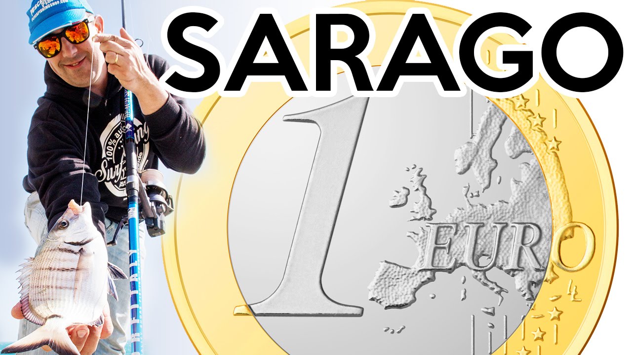 COME PESCARE un bel SARAGO spendendo 1 EURO (video tutorial di pesca in mare da scogliera)
