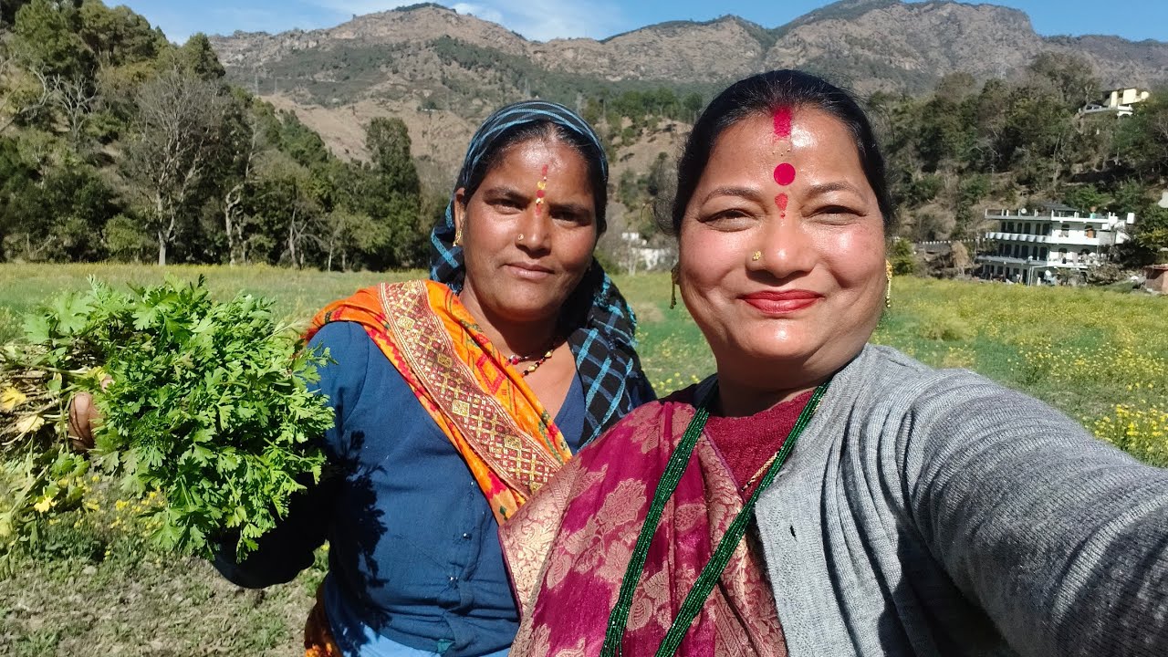 इतना सुन्दर गांव👌 यहा के हरे भरे खेत😘 सरकारी नौकरी होकर भी कुछ कहना नही आया